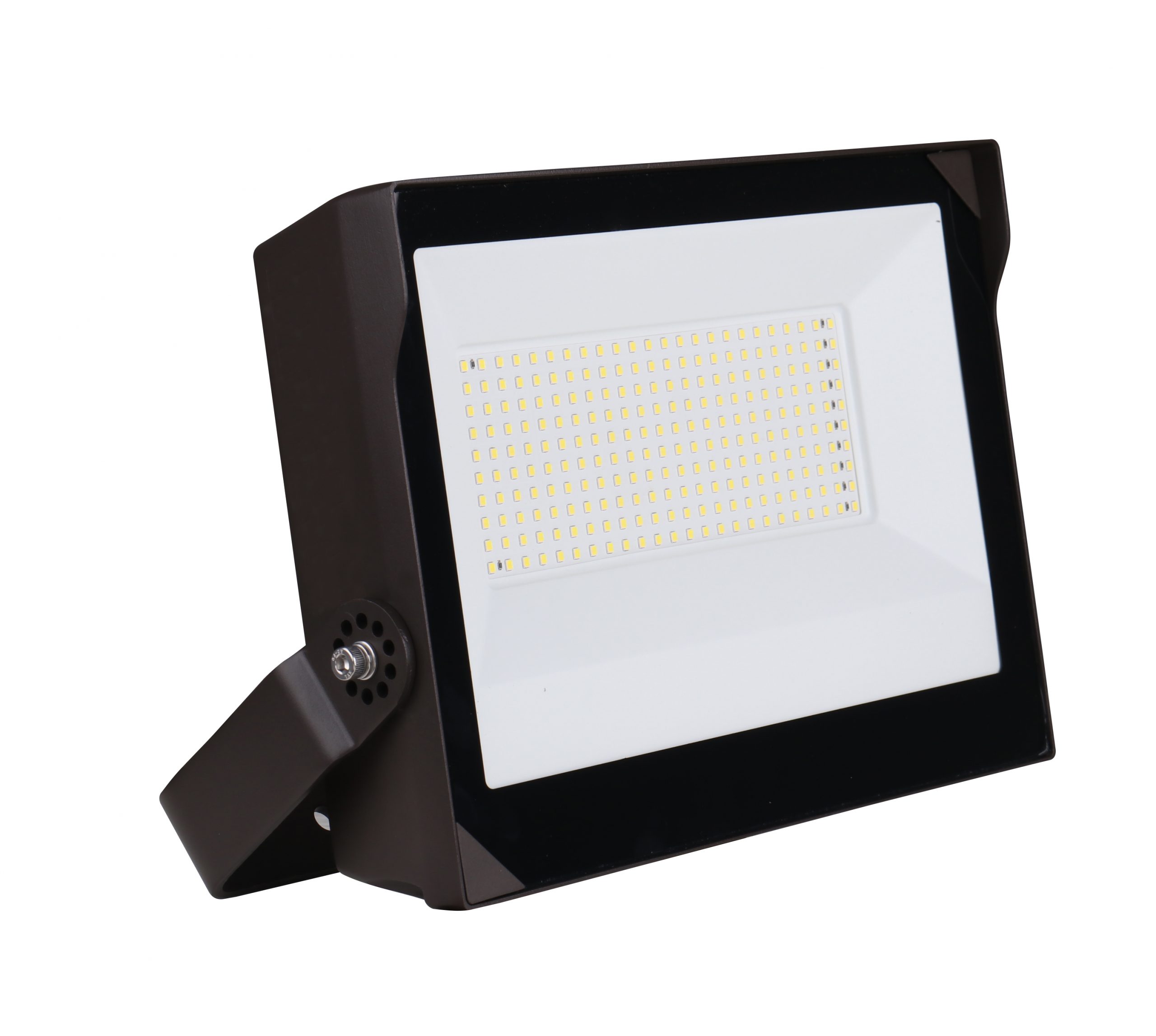 Adjustable Flood Light