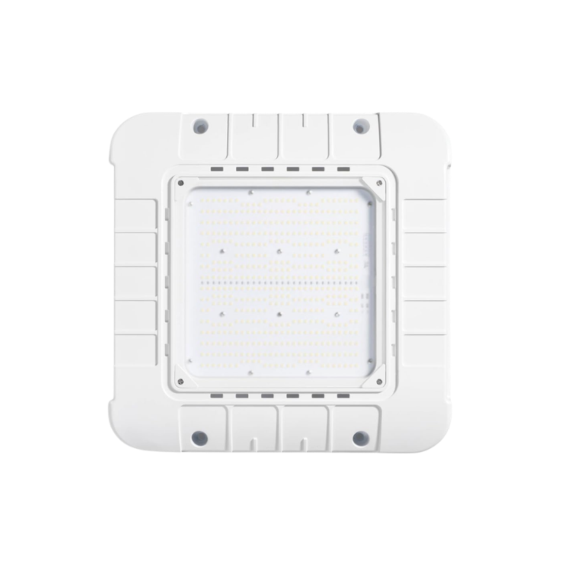 Canopy 300W Adj.